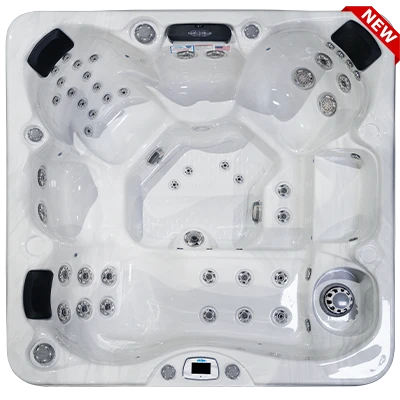 Costa-X EC-749LX hot tubs for sale in Washington