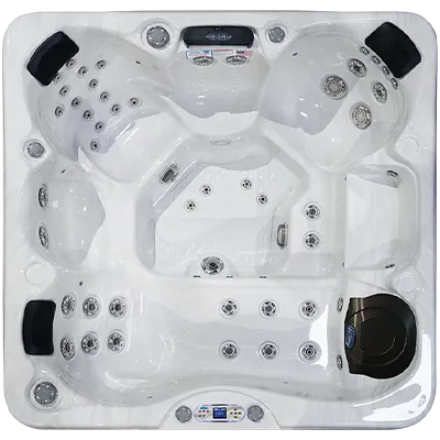 Avalon EC-849L hot tubs for sale in Washington