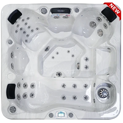 Avalon-X EC-849LX hot tubs for sale in Washington