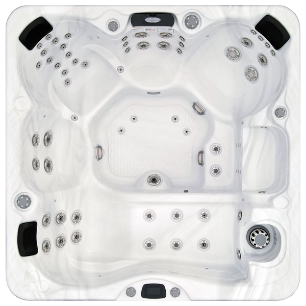 Avalon-X EC-867LX hot tubs for sale in Washington