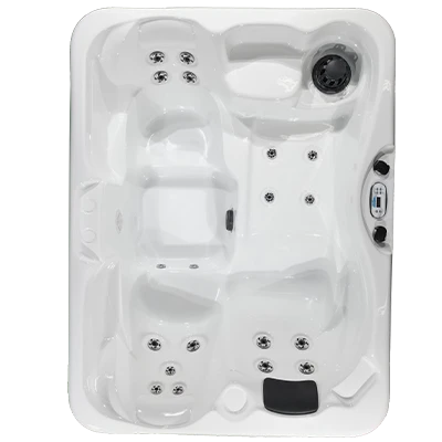 Kona PZ-519L hot tubs for sale in Washington